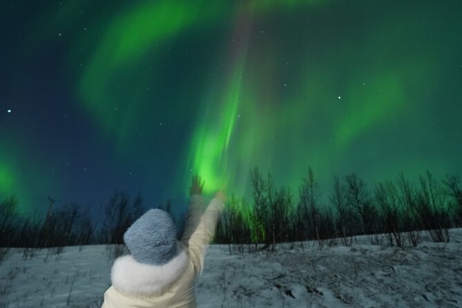 Northern Light Minibus Hunt to Abisko National Park - Heated minibus comfort: the hidden value of not freezing
