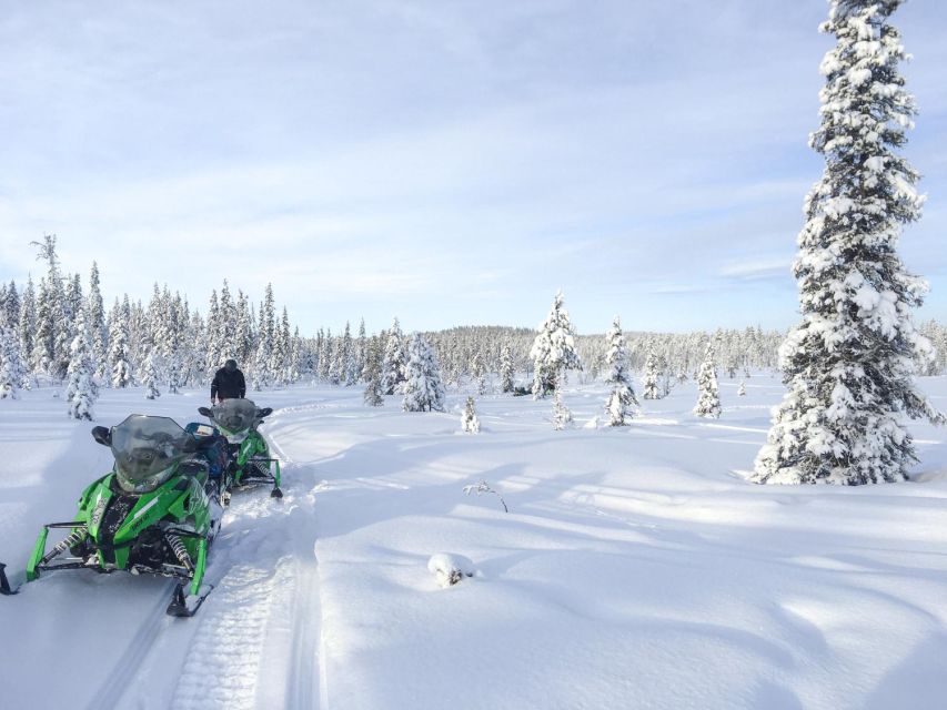 Polar Nature Tour on Snowmobile - Polar Nature Tour on Snowmobile: key highlights that matter