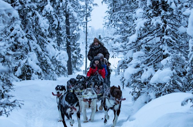 Polar Sunrise Eco Experience (10:00-13:00- driving the sled) - The Mid-Ride Photo Stop: Time to Look Up and Breathe