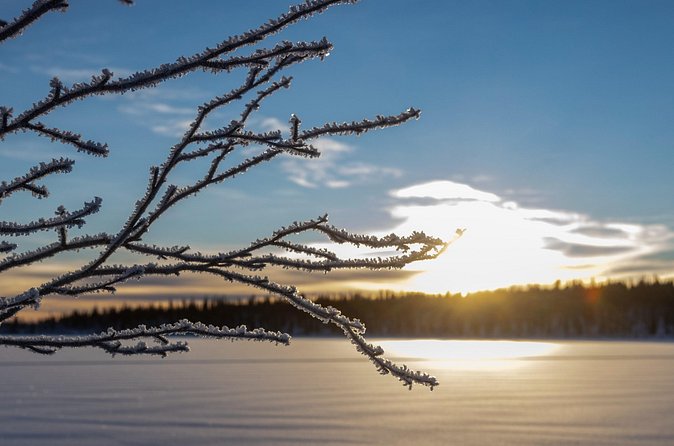Polar Sunrise Eco Experience (10:00-13:00- driving the sled) - Who This Dogsledding Experience Fits Best