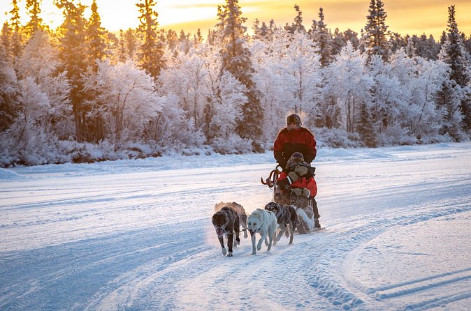 Polar Sunrise Eco Experience (10:00-13:00- driving the sled) - Practical Cold-Weather Notes That Save the Day