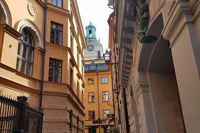 Private Car Tour of Stockholm with a Live guide, including the Vasa museum. - Private car logistics in Stockholm, including cruise pier meetups