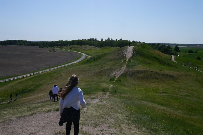Private Full Day Viking History Tour from Stockholm Including Sigtuna and Uppsala - Reconstructed farm time, seeing daily work not just legends