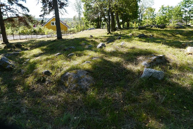 Private Tour: 3h Viking History from Stockholm to Runic Kingdom - Arkils tingstad: The Viking “Thing” and the Rules People Lived With