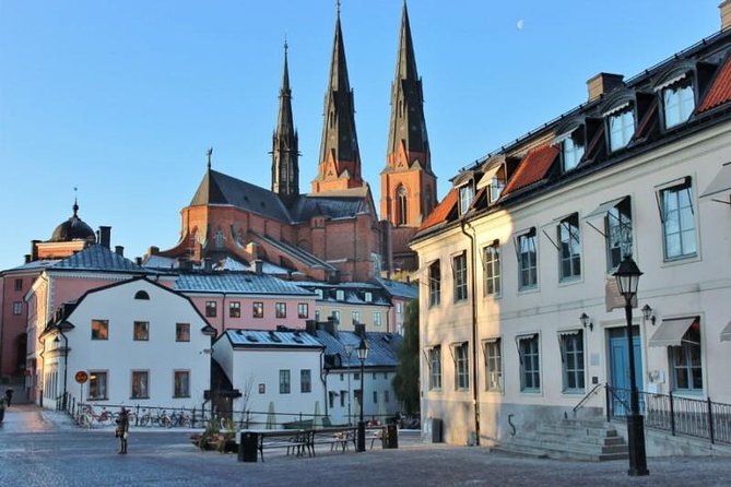 ROYAL Uppsala and VIKING Sigtuna PRIVATE Tour - Who this tour suits best