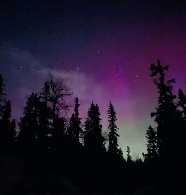 Sälen: Northern Lights Snowshoe Adventure with Pickup - Finding the aurora: why a guide changes your odds