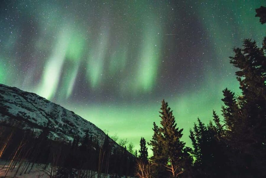 Sälen: Northern Lights Snowshoe Adventure with Pickup - The little details that improve your comfort outdoors