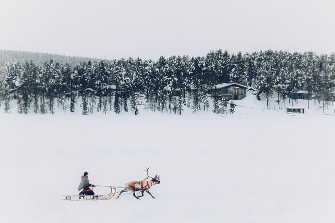 Sami day tour adventure - Key things that make this Sami day tour special