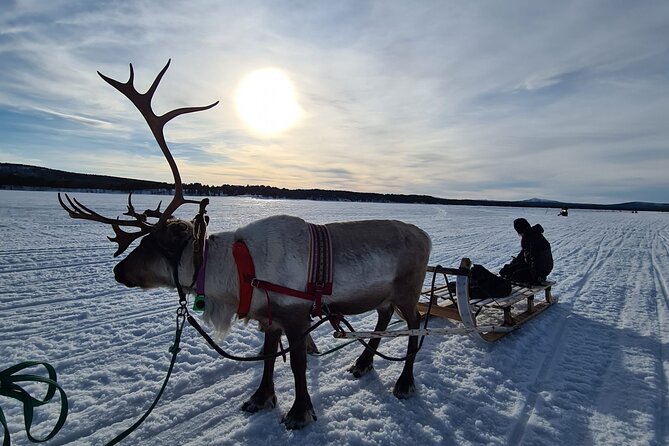 Sami day tour adventure - From Kiruna to Jukkasjärvi: what this tour really feels like