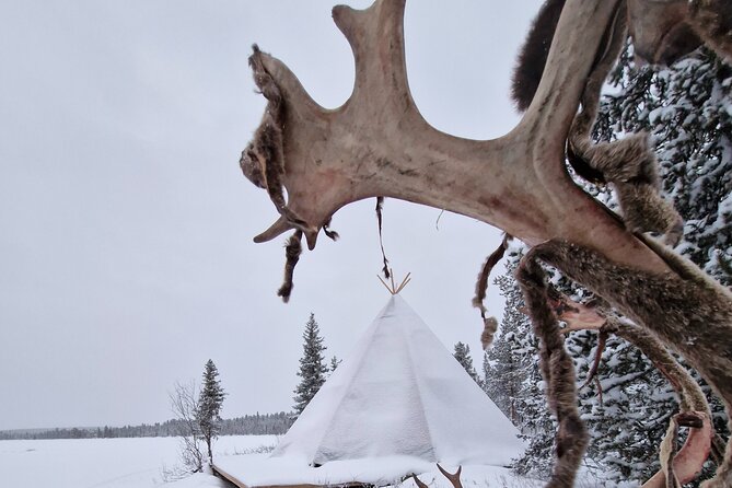 Sami day tour adventure - The classic reindeer sleigh ride: fun, but plan your expectations