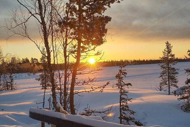 Sami day tour adventure - Meeting the reindeer at the camp: feeding, questions, and Sami culture