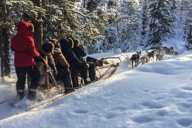Sit Down Husky Ride Dog Sled Tour in Kiruna - Key points before you go