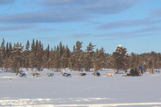 Sit Down Husky Ride Dog Sled Tour in Kiruna - The Arctic clothing setup that makes or breaks the experience
