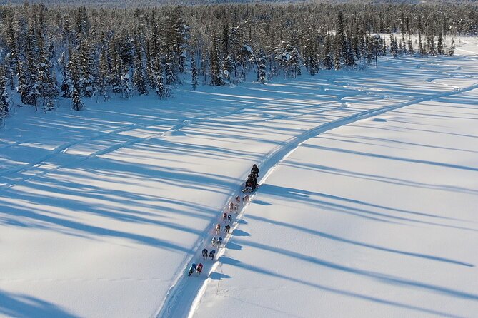 Sit Down Husky Ride Dog Sled Tour in Kiruna - Price and value: $197.99 for a short, well-managed Arctic outing