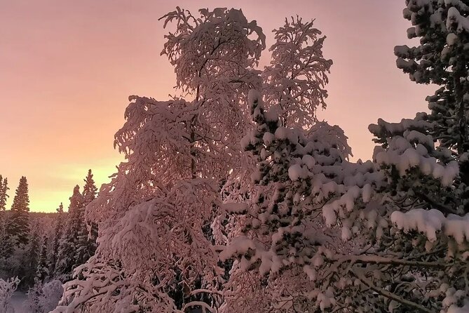 Snowmobile Adventure in Lapland: Guided Tour from Kiruna - From overalls to helmets: what the first stage feels like