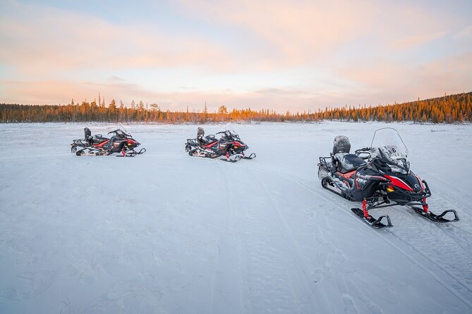 Snowmobile Adventure in Lapland: Guided Tour from Kiruna - Wildlife spotting on the ride: reindeer and moose are part of the hope