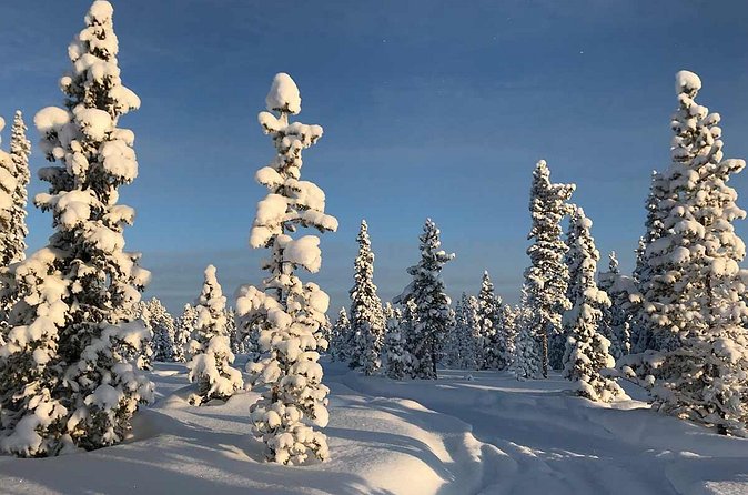 Snowmobile Arctic Adventure - Lunch by Open Fire in a Wooden Hut, and Why It’s the Real Midday Reset