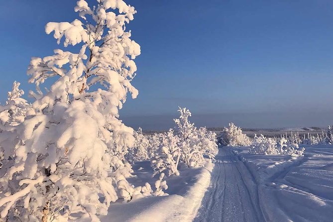 Snowmobile Arctic Adventure - The Short Transfer, Then the Briefing That Changes Your Ride