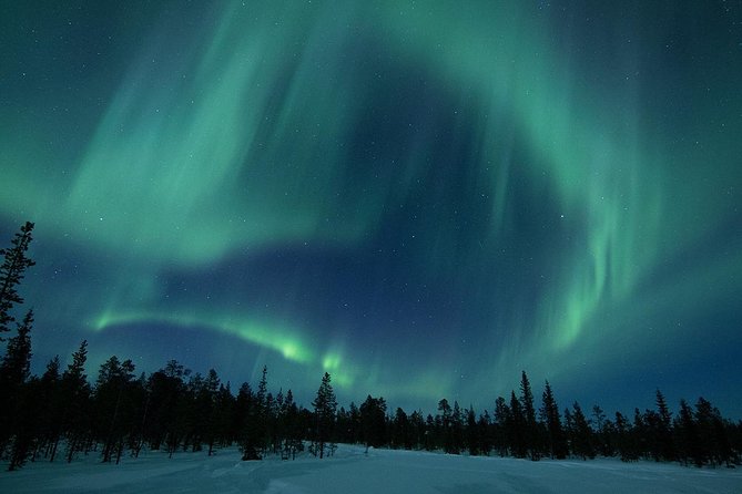 Snowmobile Aurora Expedition with dinner - Quick highlights (what makes this worth your time)