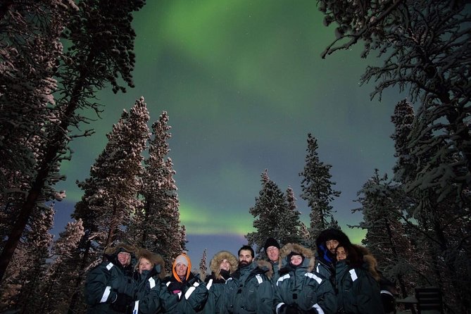 Snowmobile Aurora Expedition with dinner - Price and value: what you get for about $259