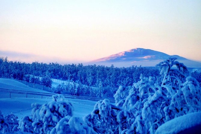 Snowmobile Safari to Lapland viewpoint - Lunch by the Fire: More Than a Scheduled Meal