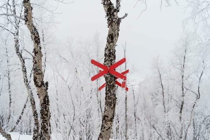 Snowmobile Tour in Kiruna - Guides, Safety, and Getting Comfortable Fast