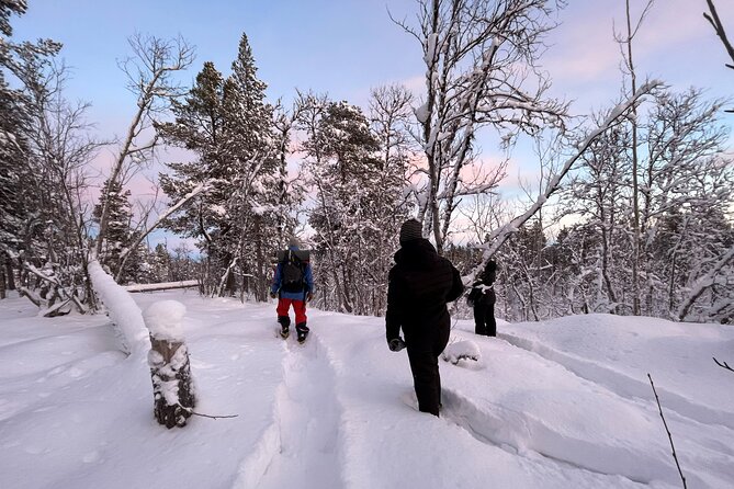 Snowshoe in a Winter Forest - Key highlights you should care about