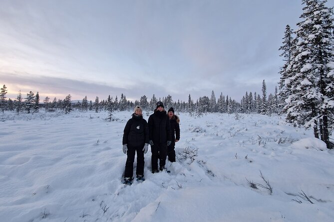 Snowshoe in a Winter Forest - Entering Kiruna’s winter forest with a small group