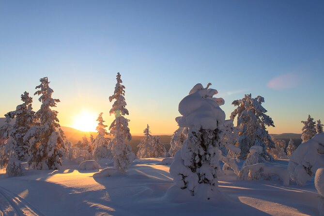 Snowshoe in a Winter Forest - Headlamp if needed: a thoughtful inclusion