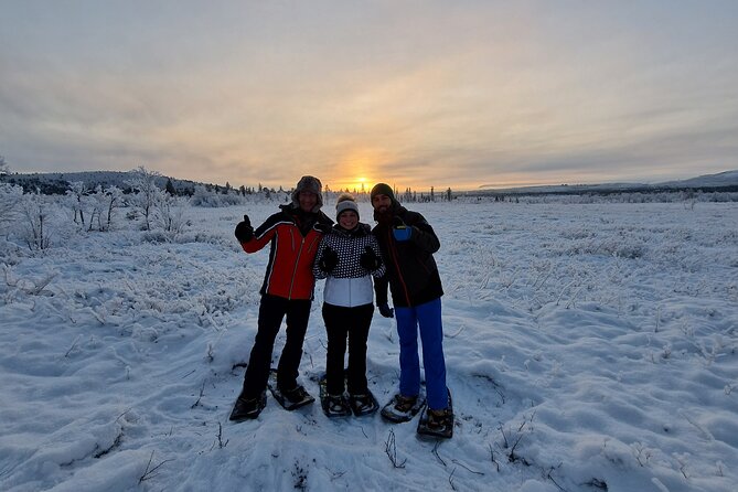 Snowshoe in a Winter Forest - Snowshoes provided, but clothing is your job