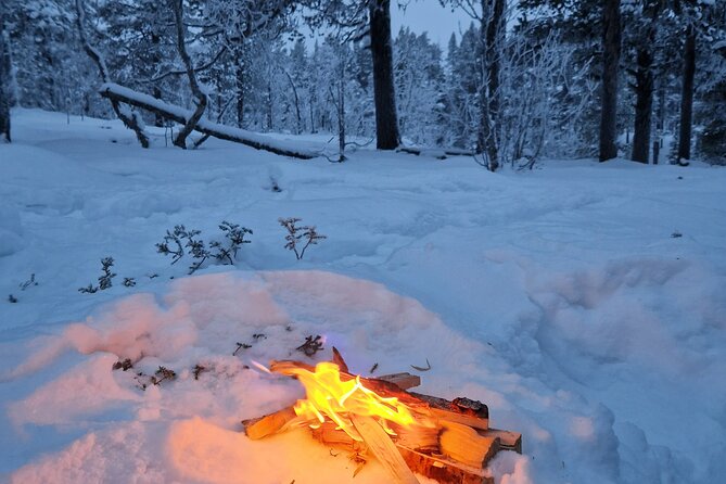 Snowshoe in a Winter Forest - Price and value: $146.65 for 2.5 hours with pickup and treats