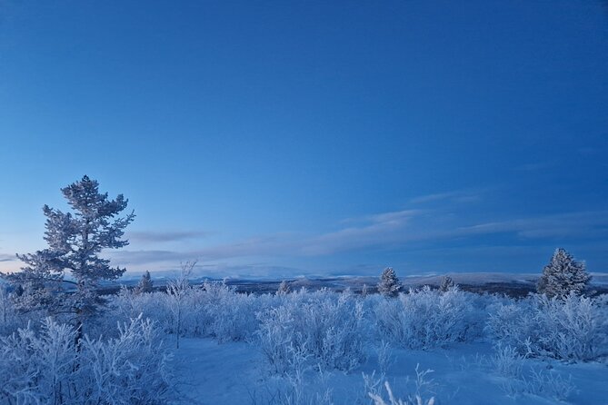 Snowshoe up a Mountain - Who Should Book This Snowshoe Hike, and Who Might Feel It’s Not For Them