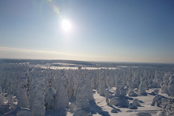 Snowshoe up a Mountain - The Climb: Snowshoe Technique, Animal Tracks, and Easy Rhythm