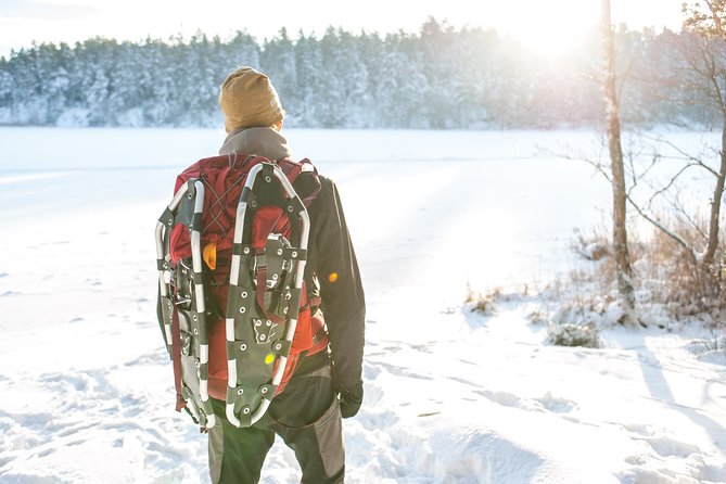 Snowshoe Winter Hike from Stockholm - Key Highlights You Should Care About