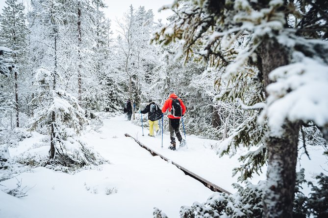 Snowshoe Winter Hike from Stockholm - Price and Value: What $191.34 Buys in Real Winter Comfort