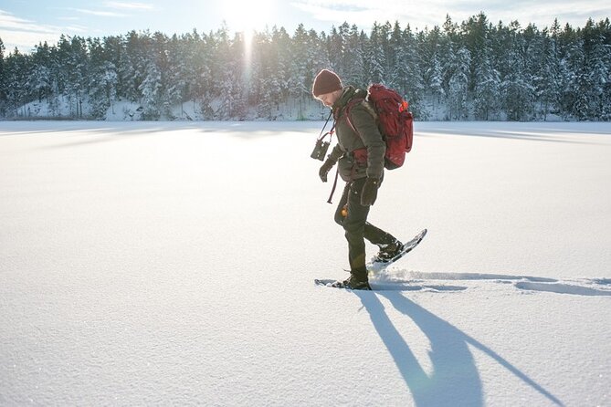 Snowshoe Winter Hike from Stockholm - The Winter Walk Itself: Wildlife, Flora, and Real Navigation Skills
