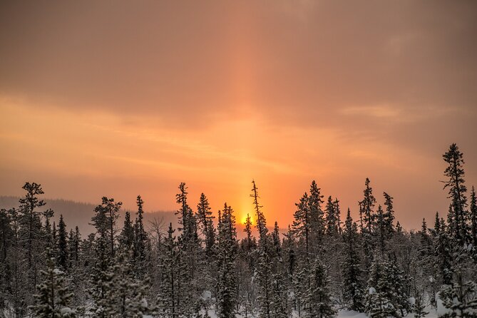 Snowshoe Winter Hike from Stockholm - Why a Small Group Feels Different in Winter