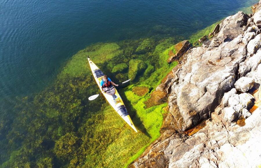 Stockholm: 1, 2, or 3-Day Kayaking Tour in the Archipelago - Your 1-Day Kayak: Deserted Island Swim, Wilderness Lunch, and Fika