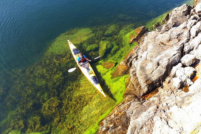 Stockholm Archipelago Kayaking Day Tour - Key highlights you will feel right away