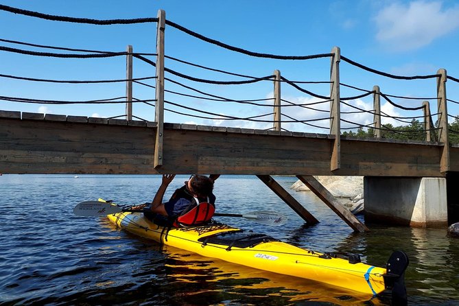 Stockholm Archipelago Kayaking Day Tour - What Is Actually Included (and Why It Changes the Value)