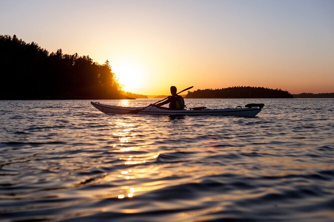 Stockholm Archipelago Sunset Kayaking and Fika tour - Key highlights worth your 3 hours