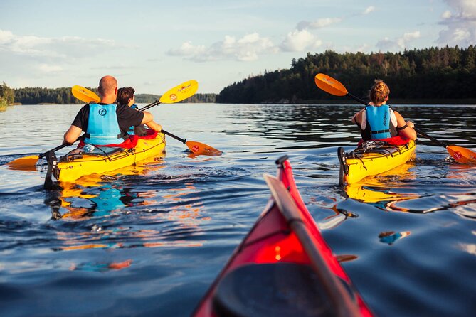 Stockholm Archipelago Sunset Kayaking and Fika tour - Wildlife spotting and photo opportunities that actually feel doable