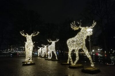 Stockholm Christmas Tour and Food Tasting Experience