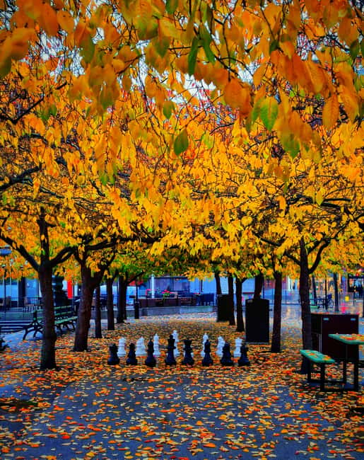Stockholm City Center: Kungsträdgården Norrmalm Guided Tour - Why this winter walk feels smarter than sticking to Gamla Stan