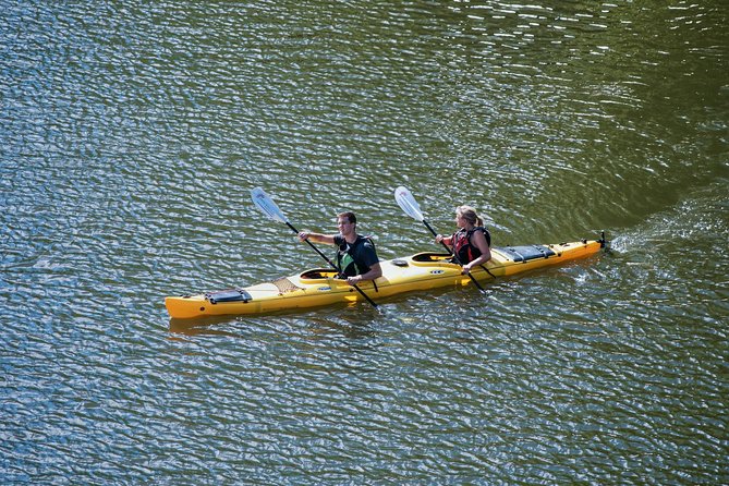 Stockholm City Evening Kayak Tour - Who this tour fits well (and who might rethink it)