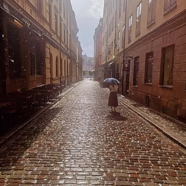 Stockholm City: Visit Icebar and Vasamuseum - Key points before you go