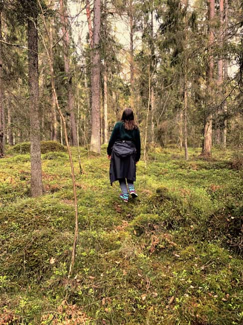Stockholm: Dog Walk in Nature Reserve with Swedish Fika - Mossy forest with Signe and Lavender, not a rushed nature walk