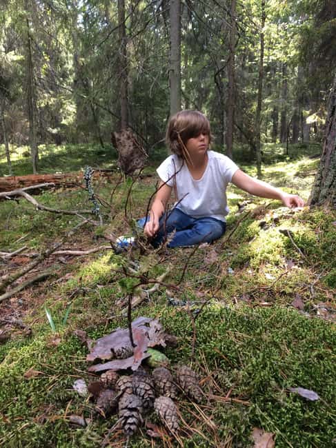 Stockholm: Dog Walk in Nature Reserve with Swedish Fika - Lake edges, beaver chances, and wildlife spotting without getting pushy