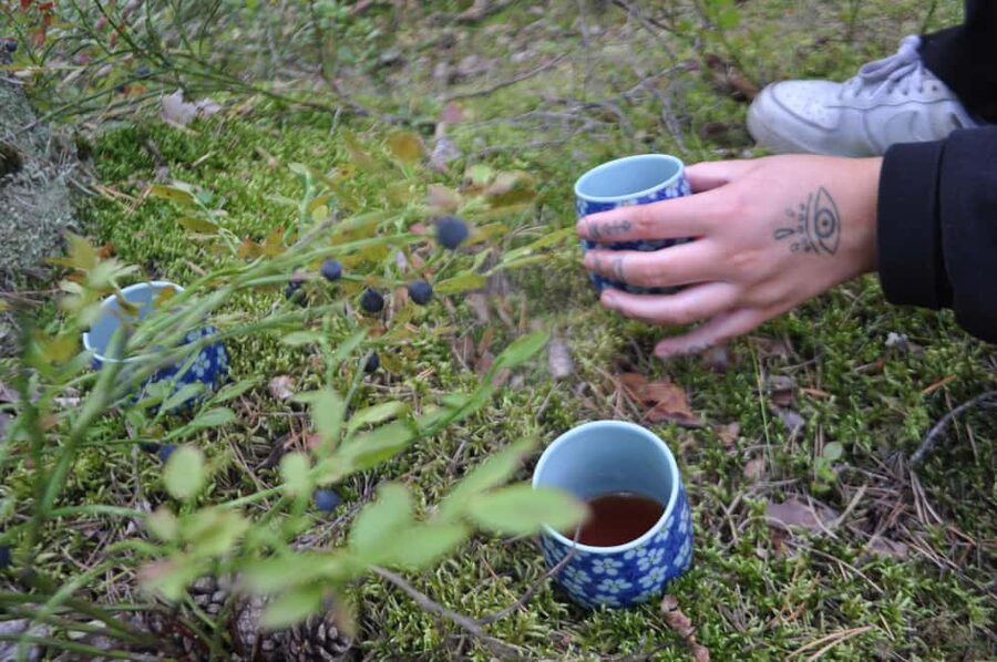 Stockholm: Dog Walk in Nature Reserve with Swedish Fika - How the 2 hours actually feel, and why timing matters