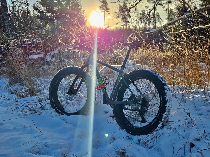 Stockholm: Fat Bike Forest Adventure with Lunch and Sauna - Fat Bikes, Helmets, and the Real Safety Briefing